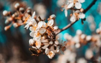 REST API vs GraphQL: Which is Better for Your Project in 2026?