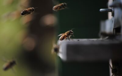 REST API vs GraphQL: Which is Better for Your Project in 2026?