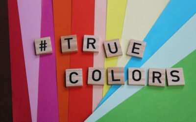 How to Choose the Right Color Scheme for Your Business Website 2026